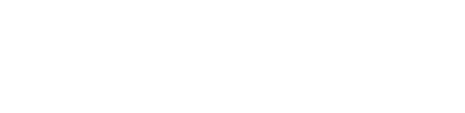 ДелианТранс, транспортная компания